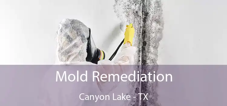 Mold Remediation Canyon Lake - TX