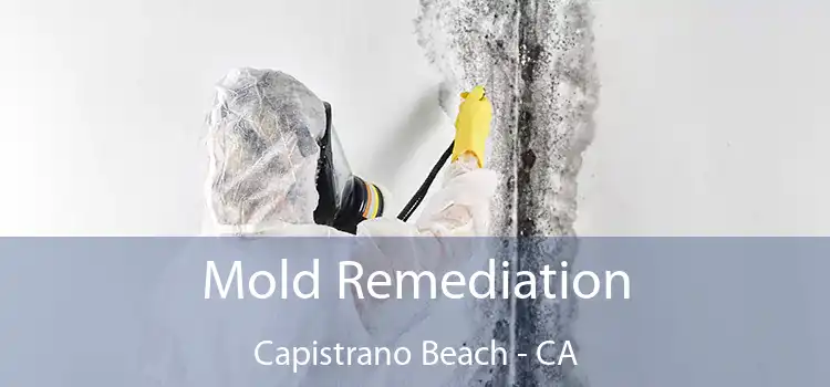 Mold Remediation Capistrano Beach - CA