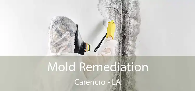 Mold Remediation Carencro - LA