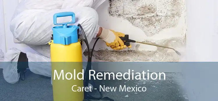 Mold Remediation Caret - New Mexico