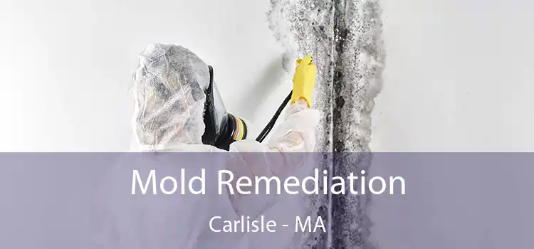 Mold Remediation Carlisle - MA