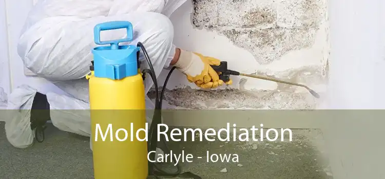 Mold Remediation Carlyle - Iowa