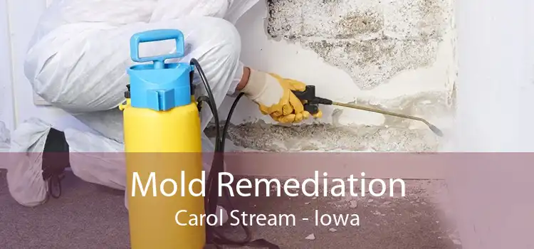 Mold Remediation Carol Stream - Iowa
