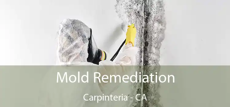 Mold Remediation Carpinteria - CA