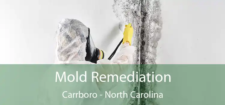 Mold Remediation Carrboro - North Carolina