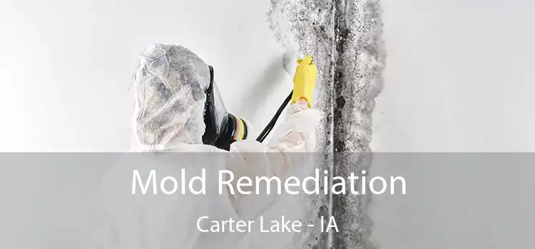 Mold Remediation Carter Lake - IA