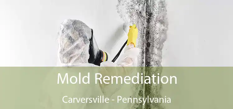 Mold Remediation Carversville - Pennsylvania