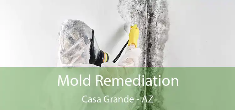 Mold Remediation Casa Grande - AZ