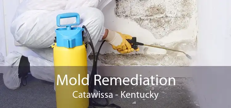 Mold Remediation Catawissa - Kentucky