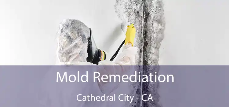 Mold Remediation Cathedral City - CA