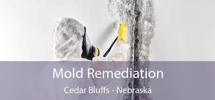 Mold Remediation Cedar Bluffs - Nebraska