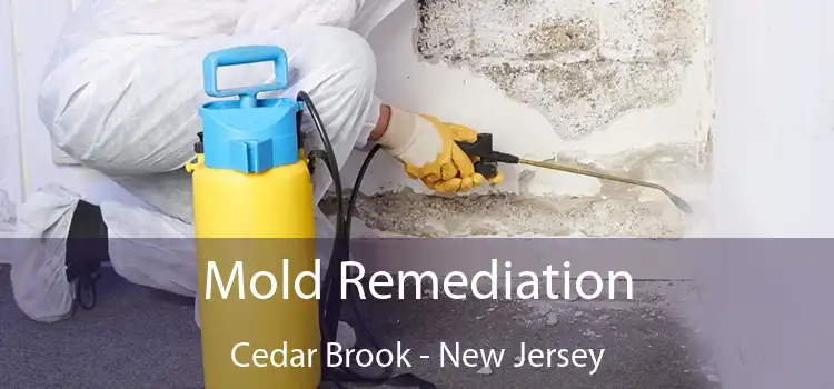 Mold Remediation Cedar Brook - New Jersey