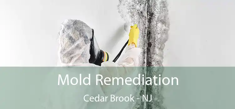 Mold Remediation Cedar Brook - NJ