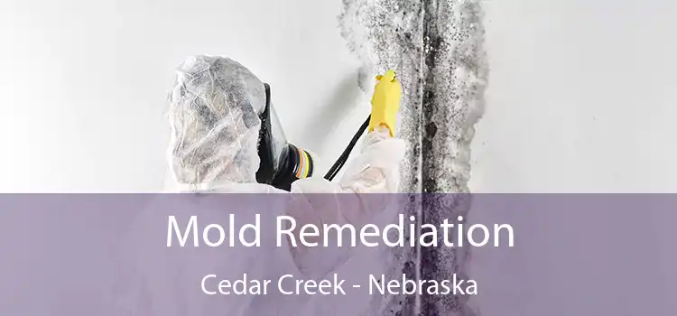 Mold Remediation Cedar Creek - Nebraska