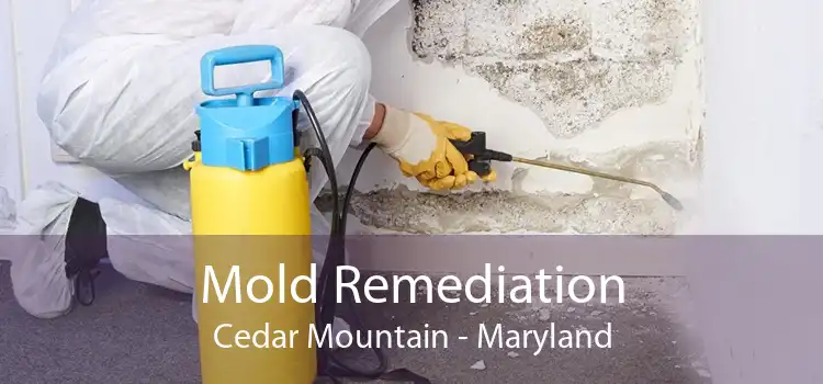 Mold Remediation Cedar Mountain - Maryland