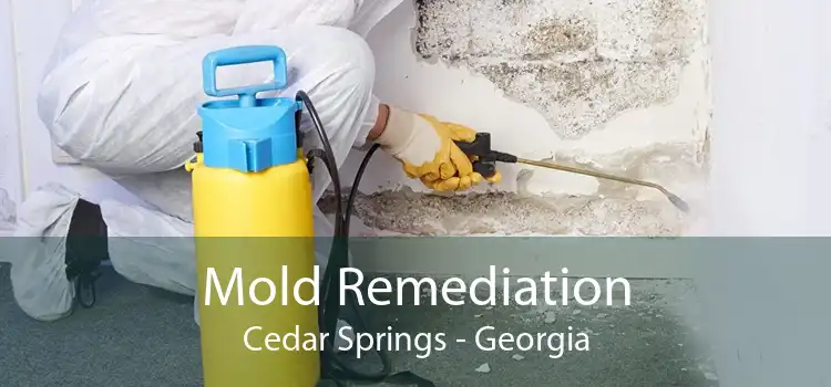 Mold Remediation Cedar Springs - Georgia