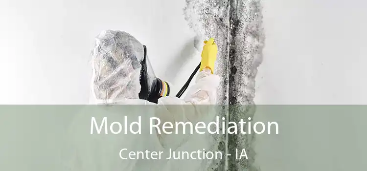 Mold Remediation Center Junction - IA