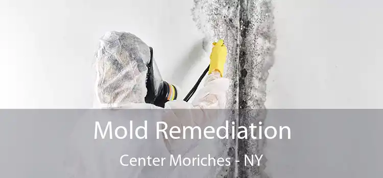 Mold Remediation Center Moriches - NY