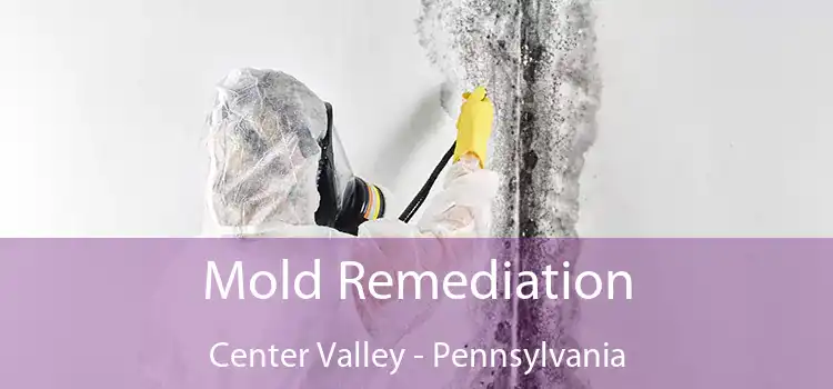 Mold Remediation Center Valley - Pennsylvania