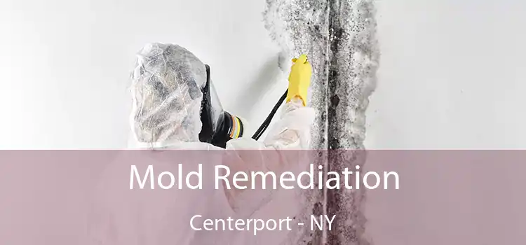 Mold Remediation Centerport - NY