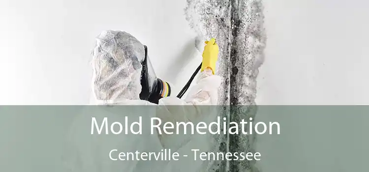 Mold Remediation Centerville - Tennessee