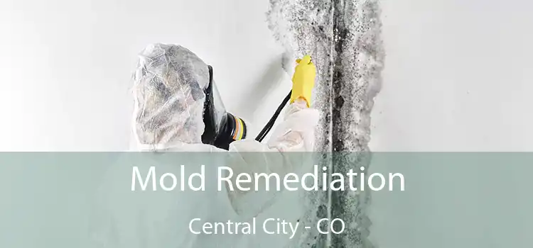 Mold Remediation Central City - CO