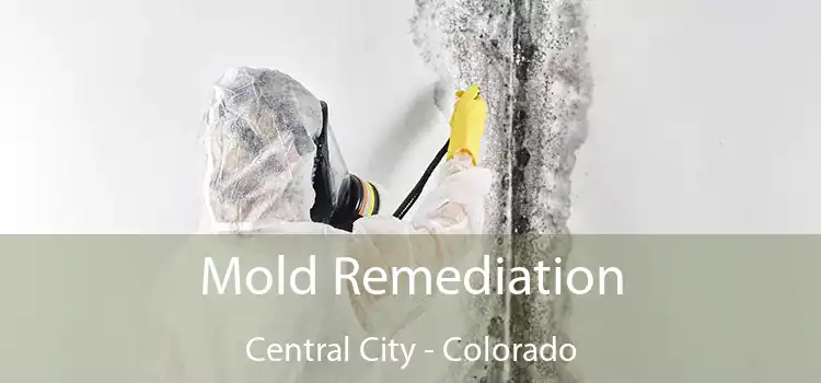 Mold Remediation Central City - Colorado