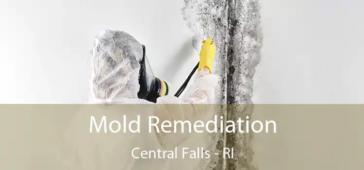 Mold Remediation Central Falls - RI