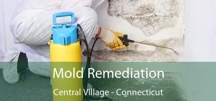 Mold Remediation Central Village - Connecticut