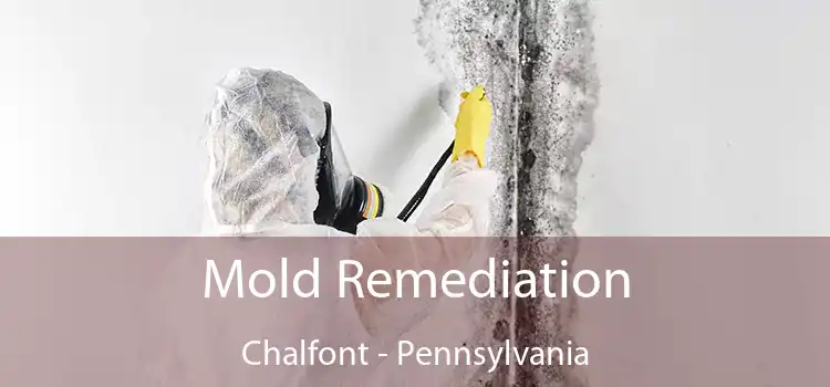 Mold Remediation Chalfont - Pennsylvania