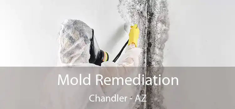 Mold Remediation Chandler - AZ