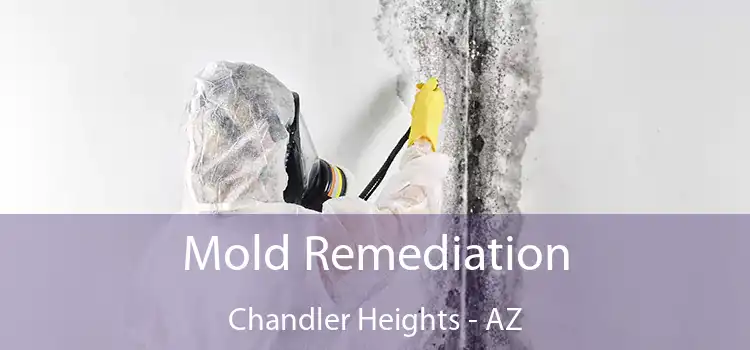 Mold Remediation Chandler Heights - AZ