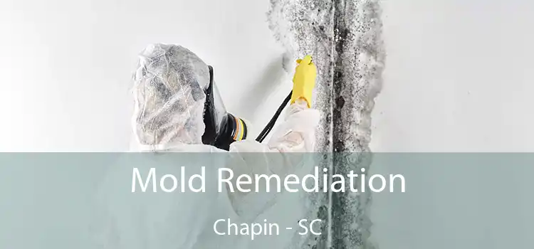 Mold Remediation Chapin - SC