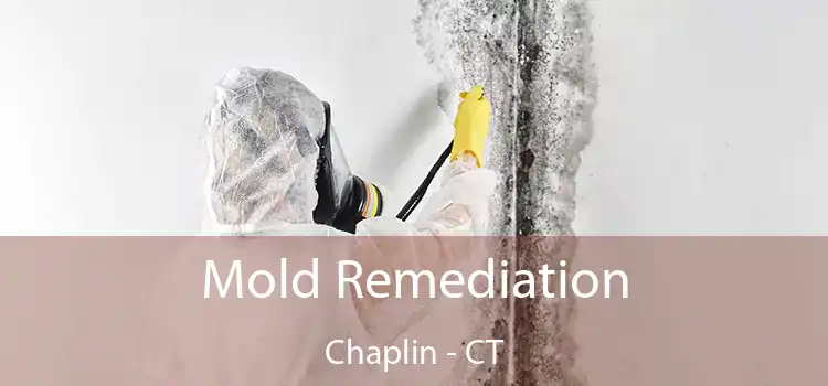 Mold Remediation Chaplin - CT