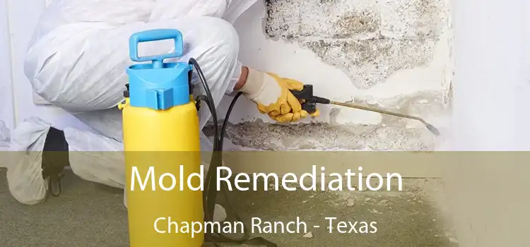 Mold Remediation Chapman Ranch - Texas