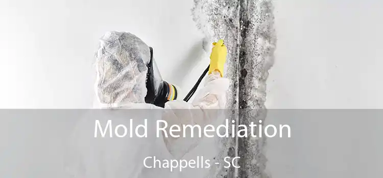 Mold Remediation Chappells - SC