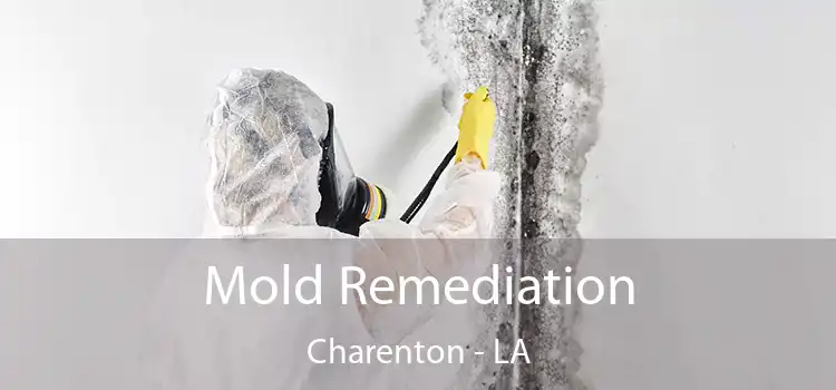 Mold Remediation Charenton - LA