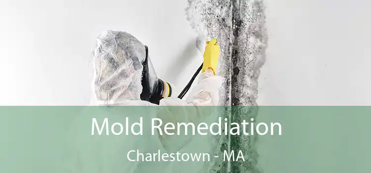 Mold Remediation Charlestown - MA