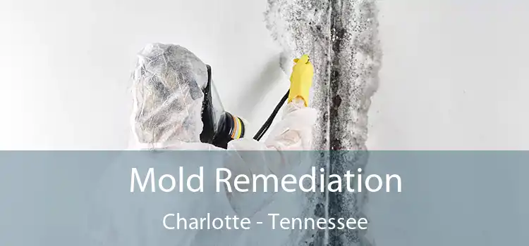 Mold Remediation Charlotte - Tennessee