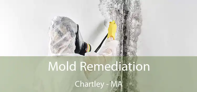 Mold Remediation Chartley - MA