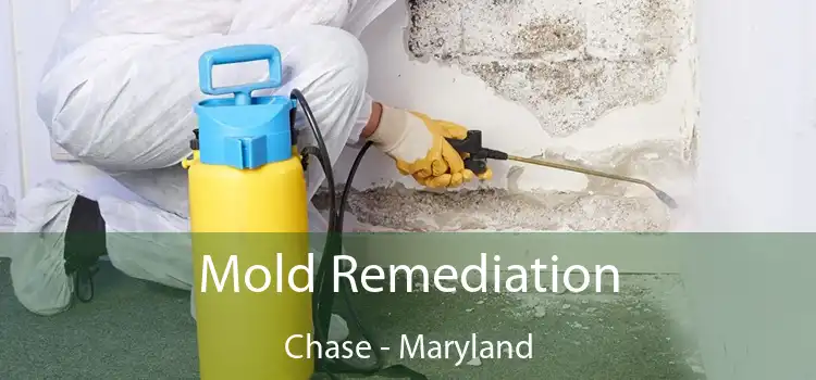 Mold Remediation Chase - Maryland