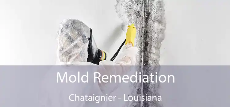 Mold Remediation Chataignier - Louisiana