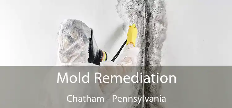 Mold Remediation Chatham - Pennsylvania