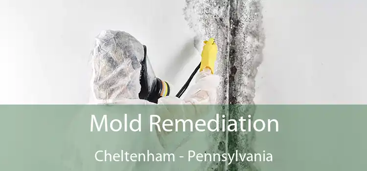 Mold Remediation Cheltenham - Pennsylvania