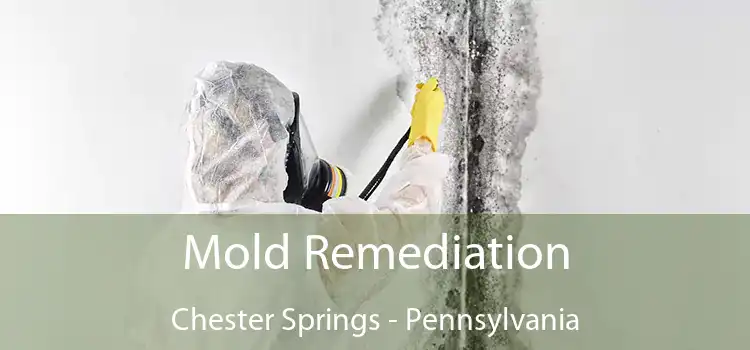 Mold Remediation Chester Springs - Pennsylvania