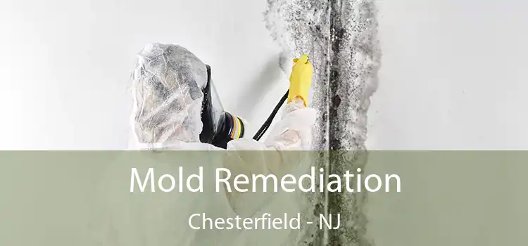 Mold Remediation Chesterfield - NJ