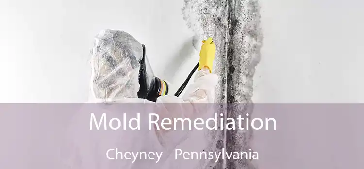 Mold Remediation Cheyney - Pennsylvania