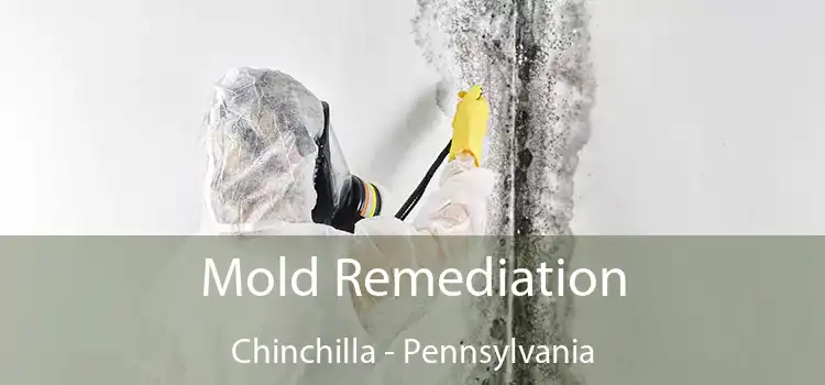 Mold Remediation Chinchilla - Pennsylvania