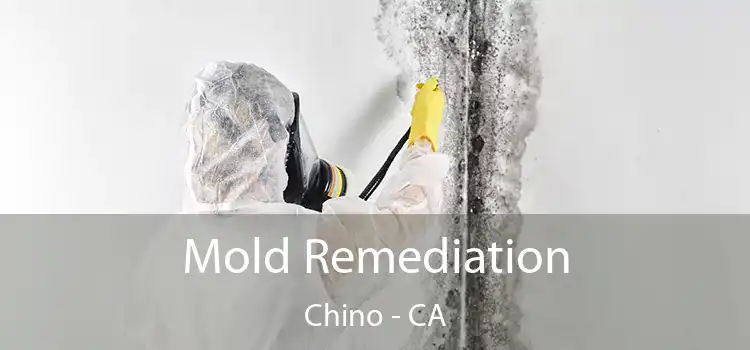 Mold Remediation Chino - CA