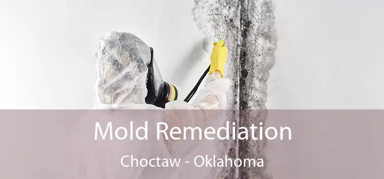 Mold Remediation Choctaw - Oklahoma